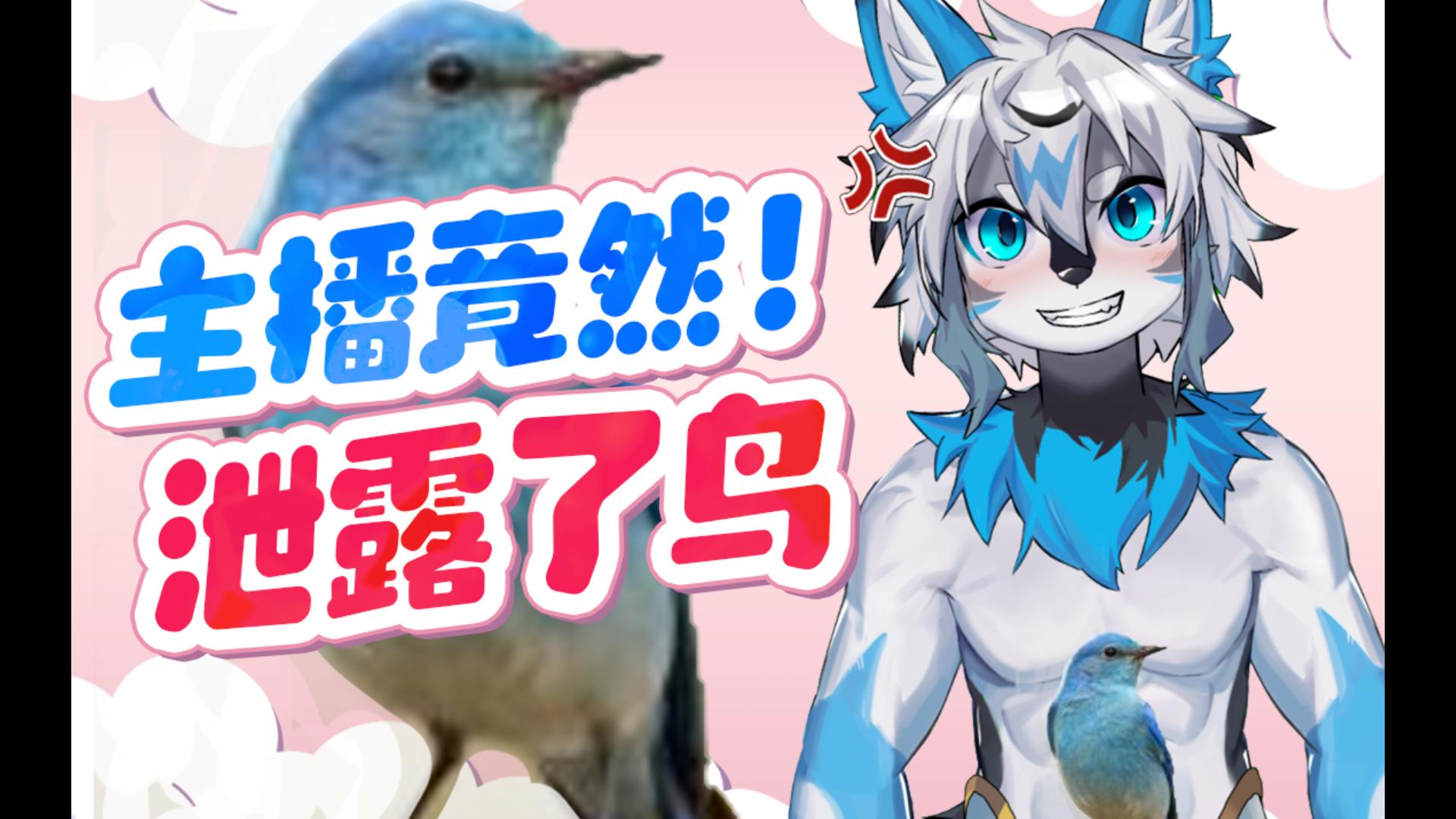 震惊! 主播竟然当众露鸟!