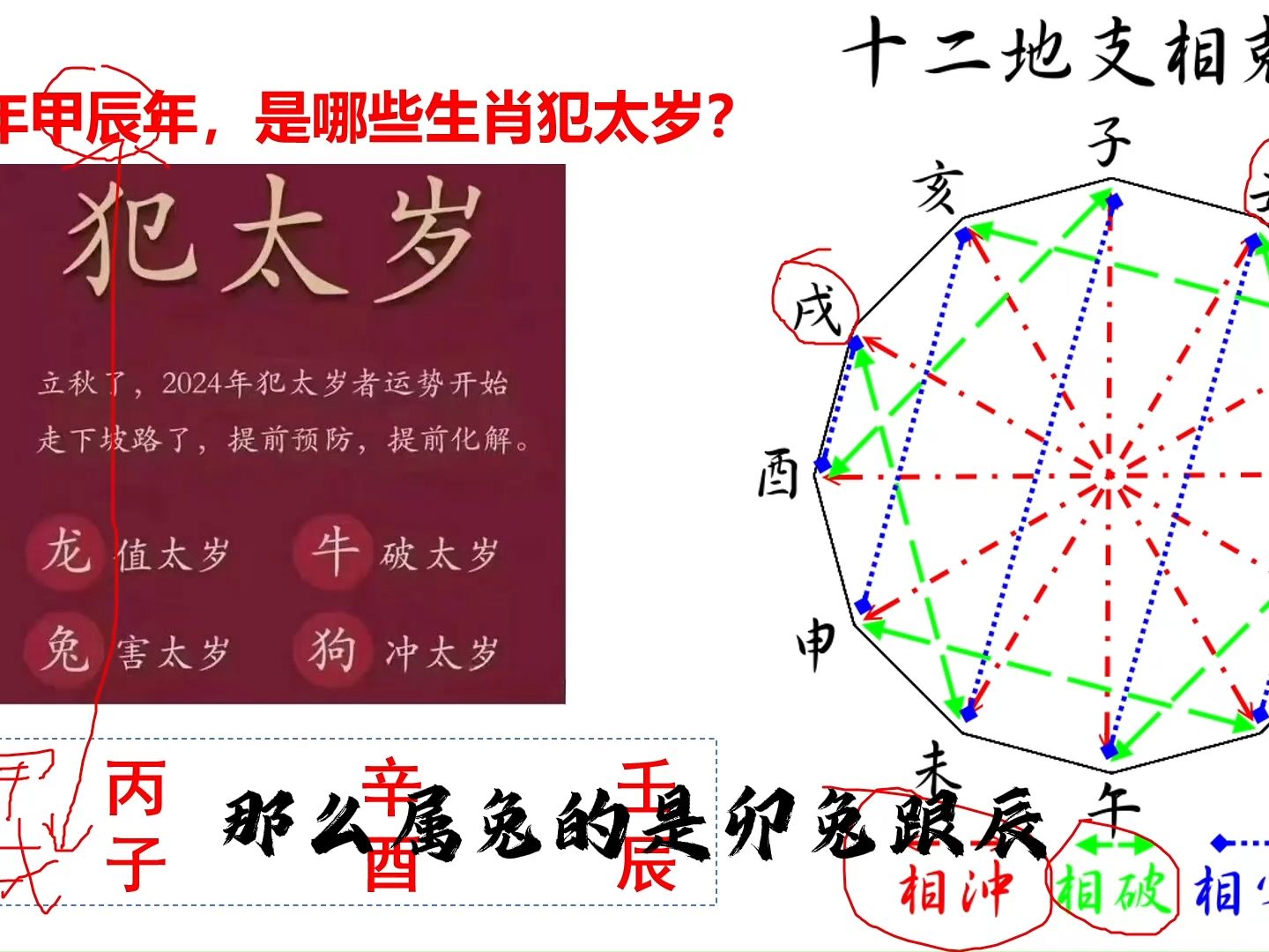 2024年甲辰年,是哪些生肖犯太岁?哔哩哔哩bilibili