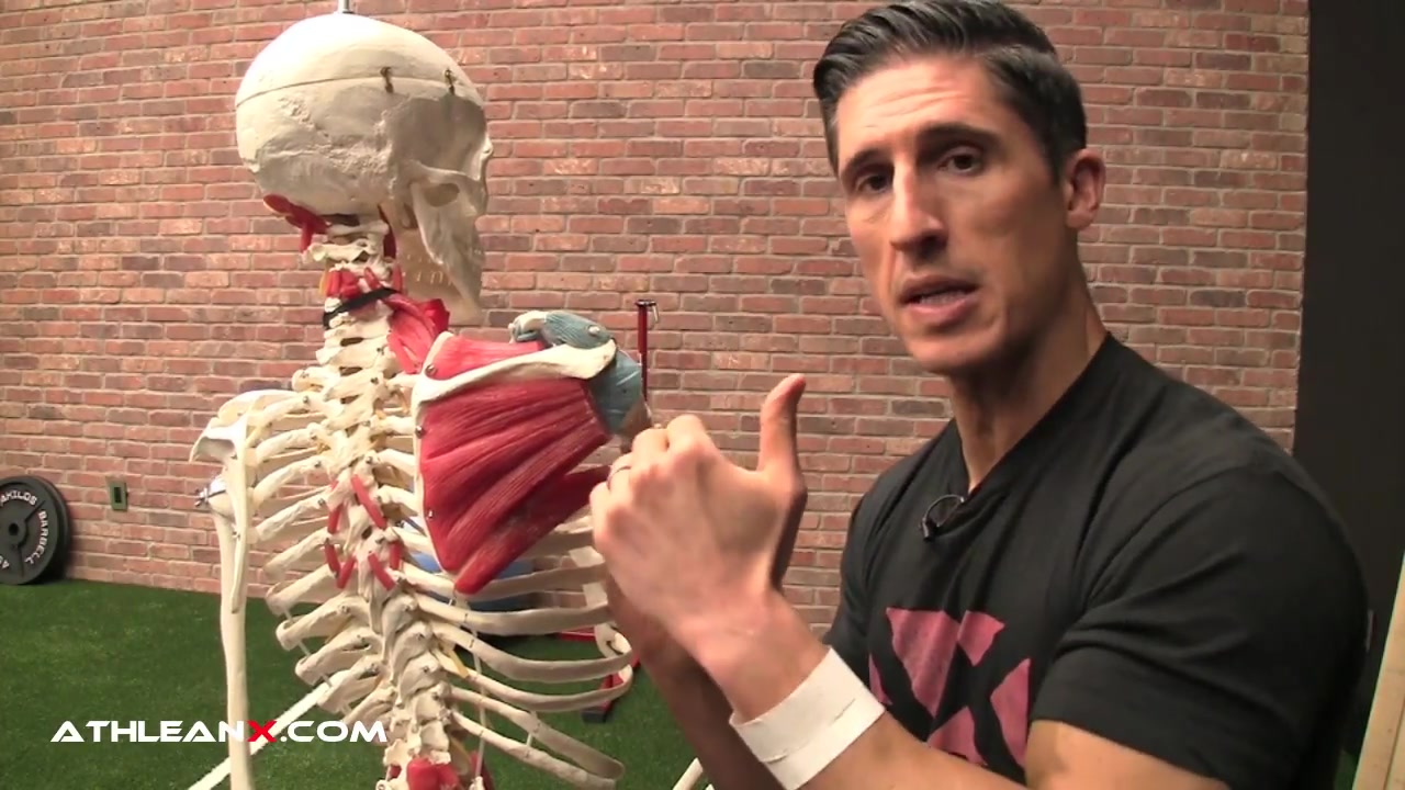 jeff cavaliere - 修复肩部不适以及疼痛