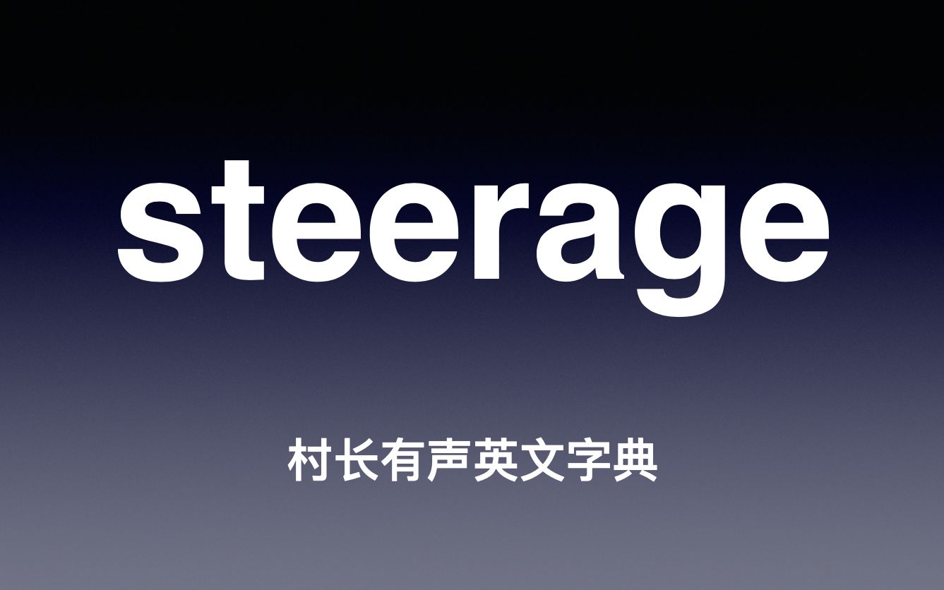 steerage 《村长有声英文字典》