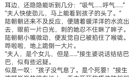 陆朝朝《穿书炮灰?我靠心声拯救全家》陆朝朝分享TXT包结局文件陆朝朝死了.为救天下,为救苍生,她作为修真界老祖,献祭了自已的神魂.哔哩哔哩...