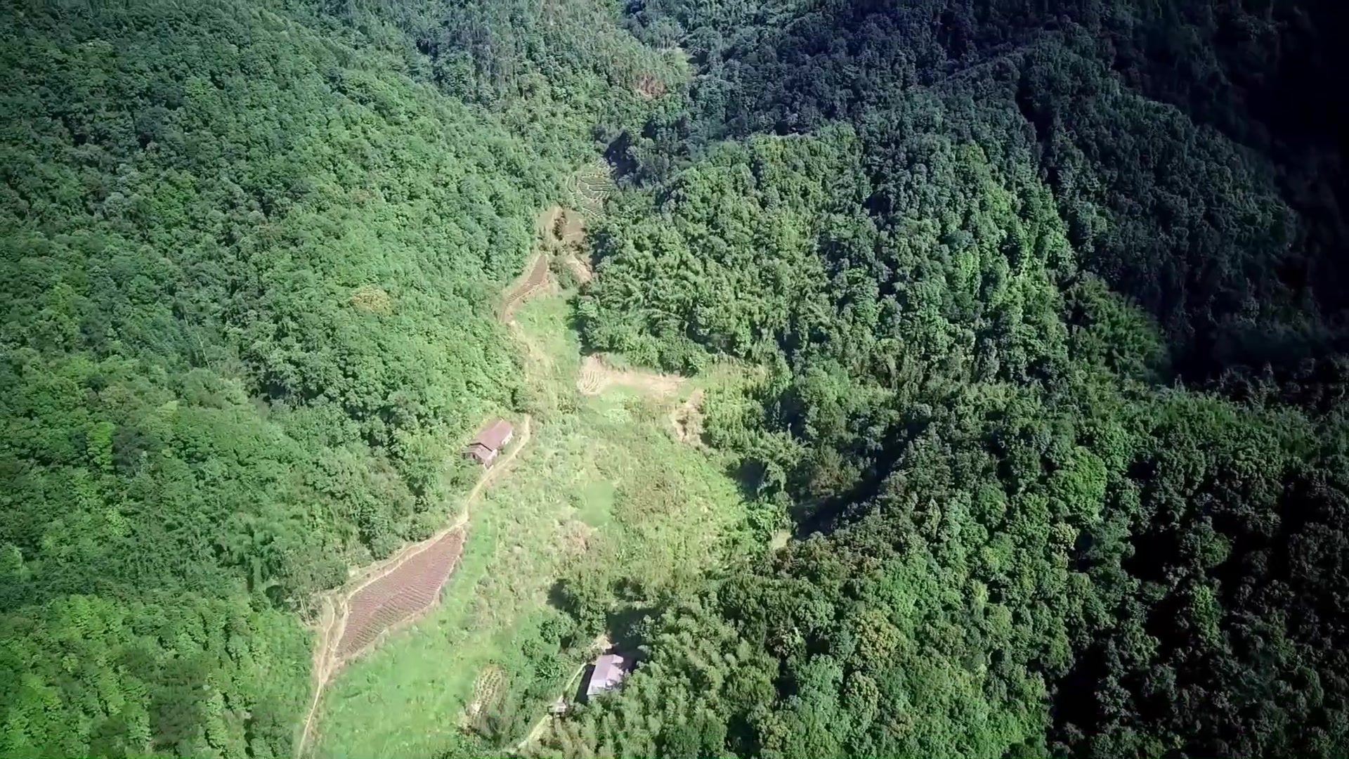 广西十万大山原始森林,有六户人家在此隐居,与世无争人间仙境