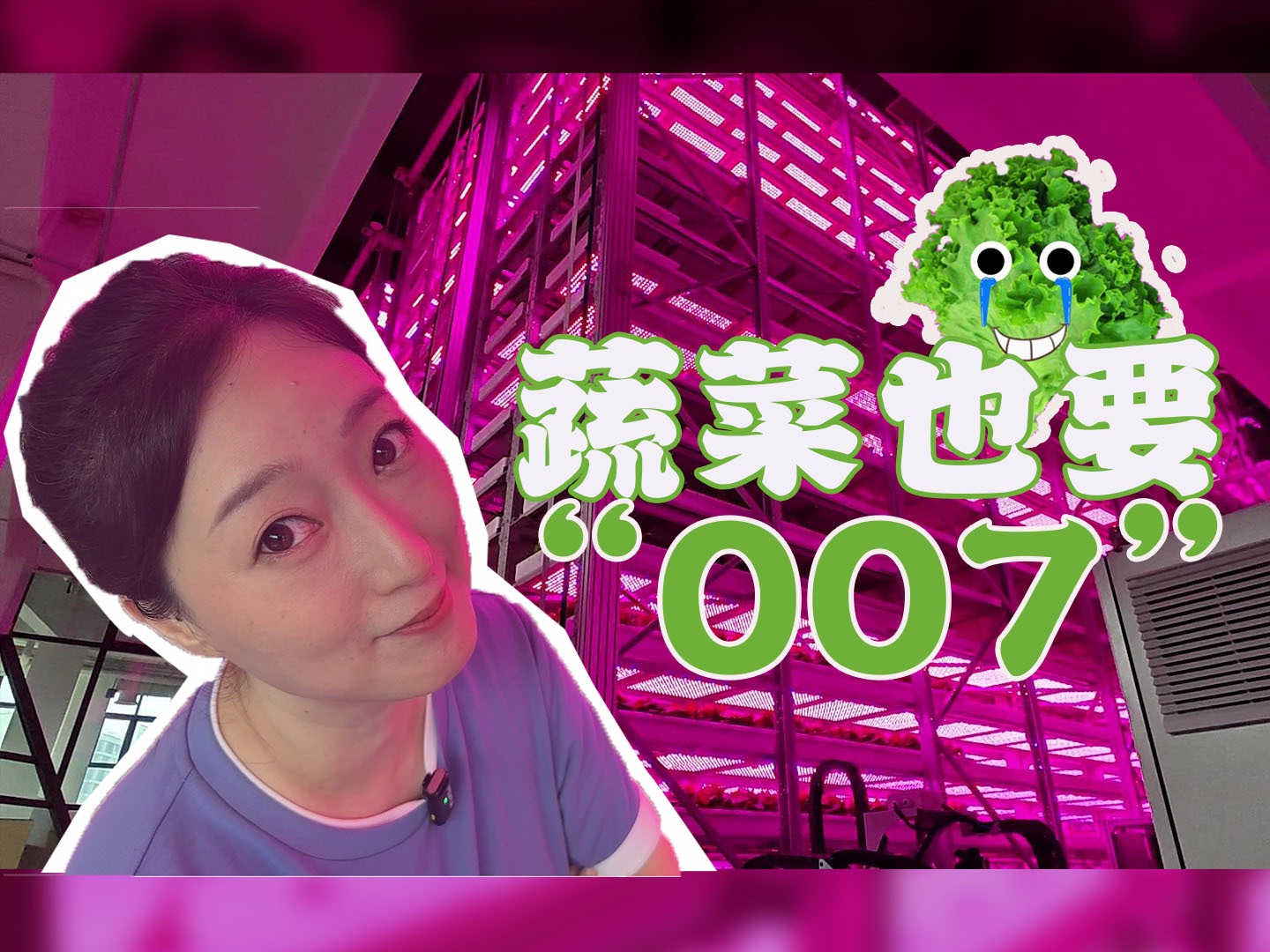 蔬菜怎么也要“007”?揭秘垂直植物工厂的种菜秘笈哔哩哔哩bilibili