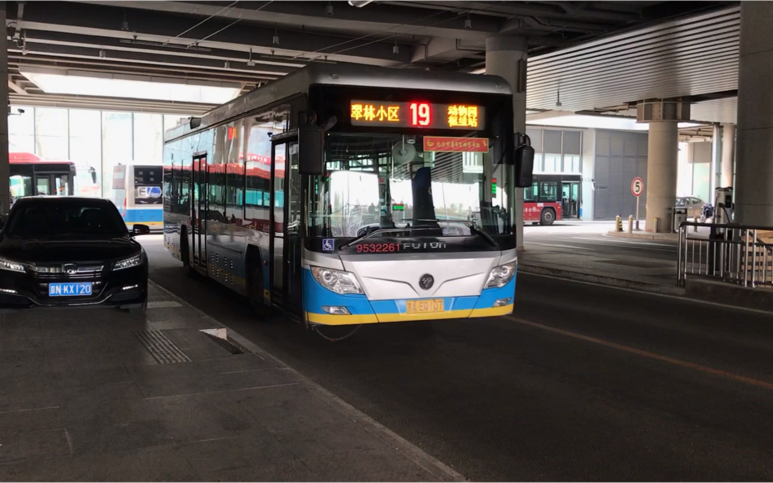 北京公交19路肖姐报站,动物园枢纽站-翠林小区