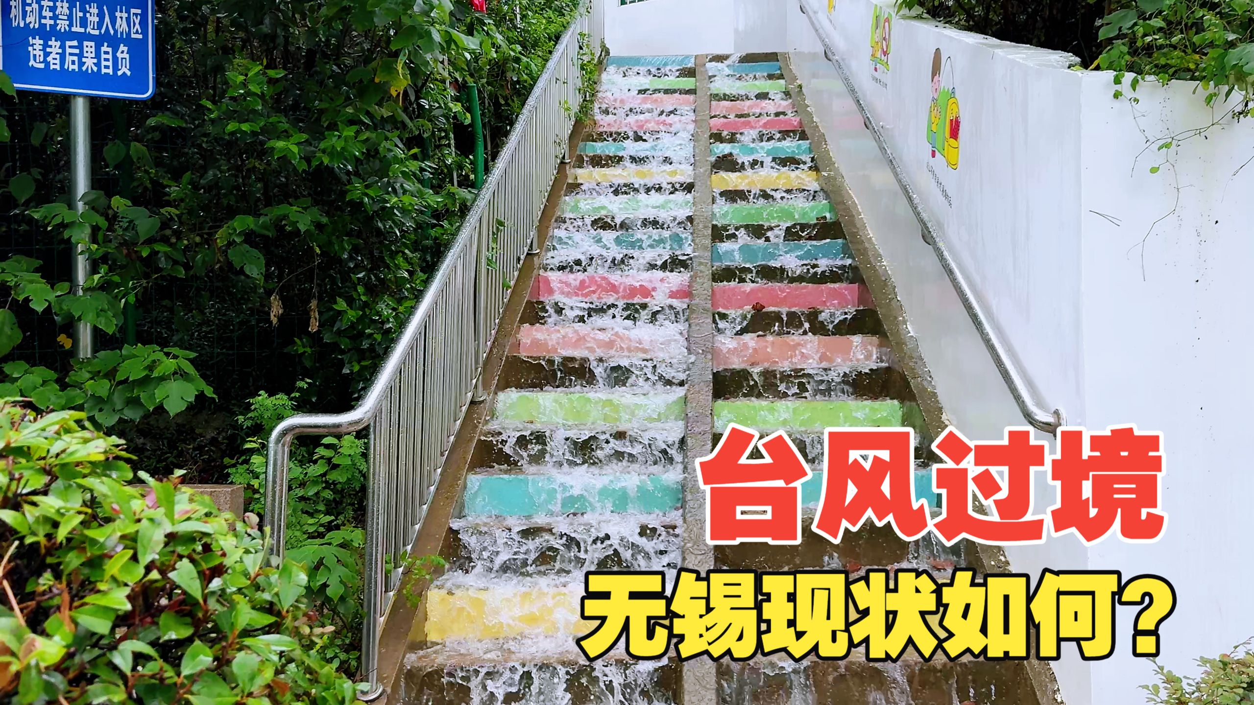 一夜搞定白海豚？无锡暴雨问鼎全国后，现在情况到底如何