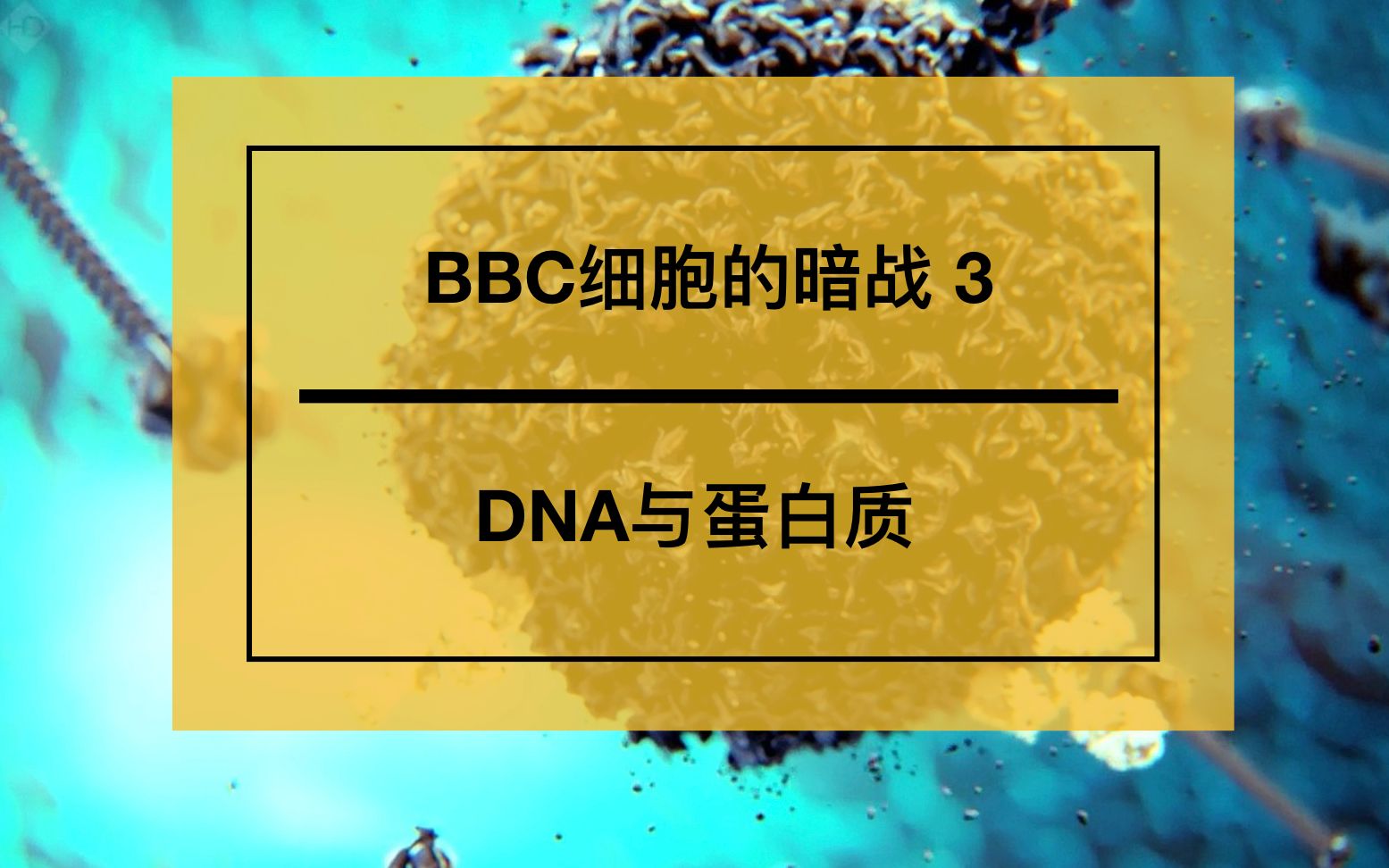 [图]BBC人体奥妙之细胞的暗战3-Dna与蛋白质