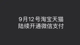 Скачать видео: 9月12号淘宝天猫陆续开通微信支付