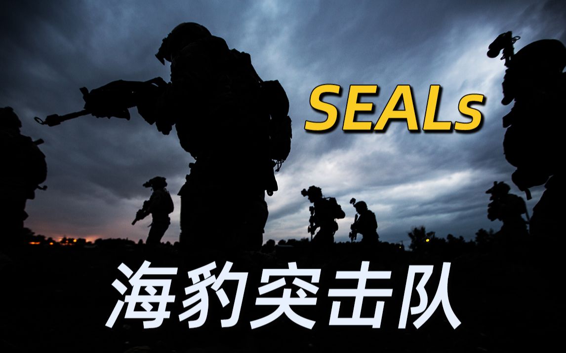 海豹突擊隊seals