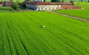 Скачать видео: 日本智能机器种植水稻