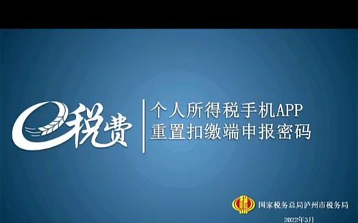 自然人电子税务局扣缴端—重置扣缴端申报密码哔哩哔哩bilibili