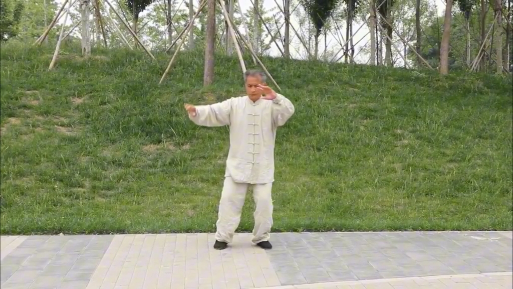 自用镜像版钟振山武式太极拳37式 侵权删