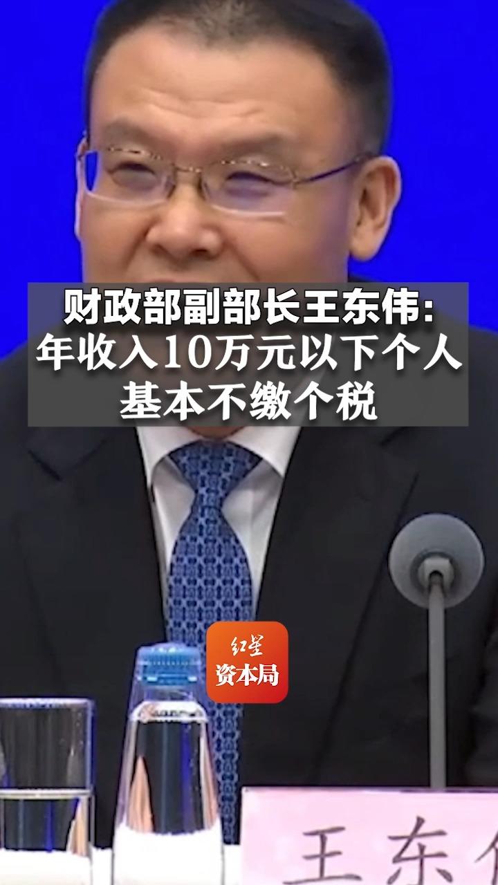 财政部副部长王东伟:年收入10万元以下个人基本不缴个税哔哩哔哩bilibili