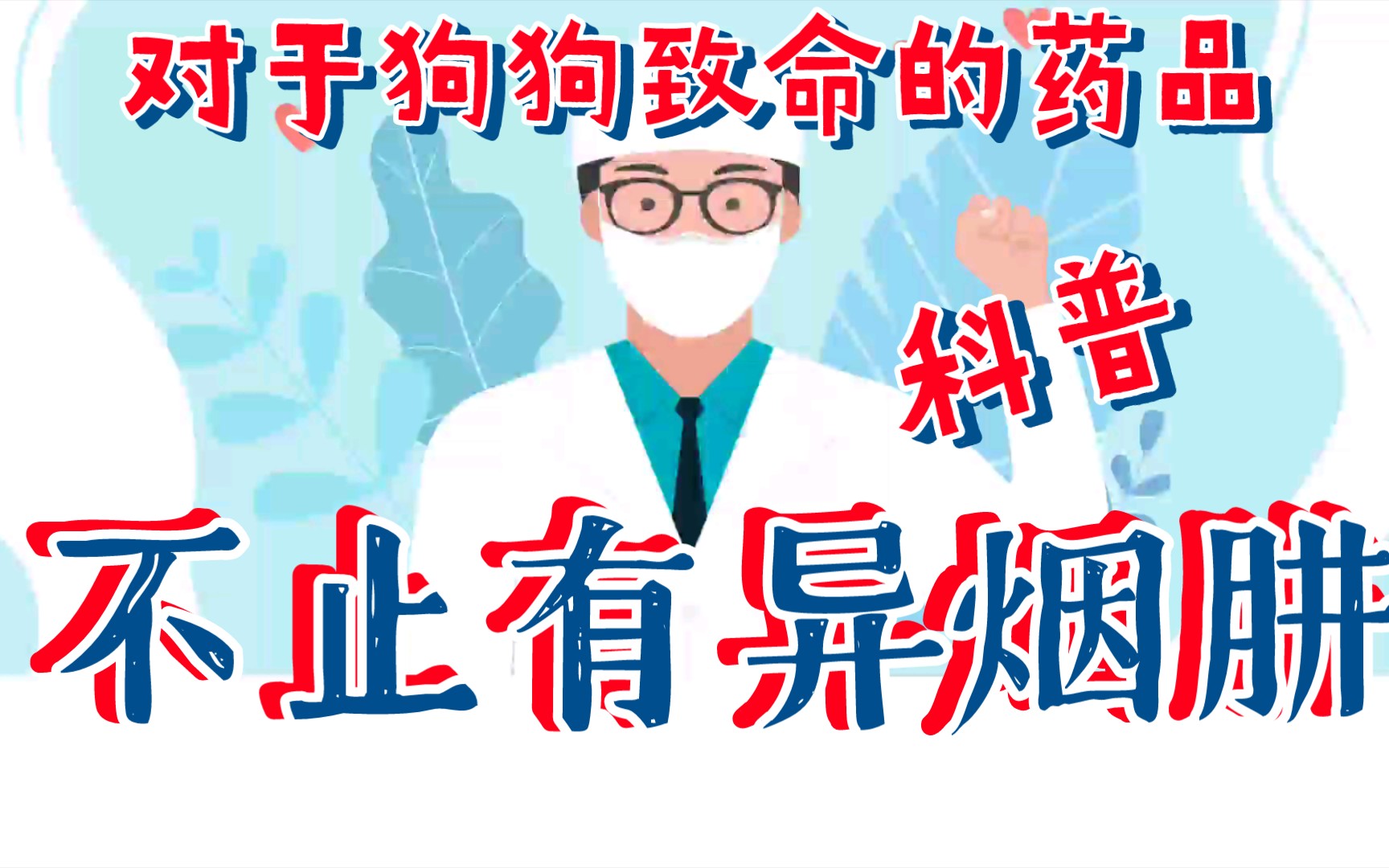 除了异烟肼硝氯酚和木糖醇,还有什么对狗狗是致命的?哔哩哔哩bilibili