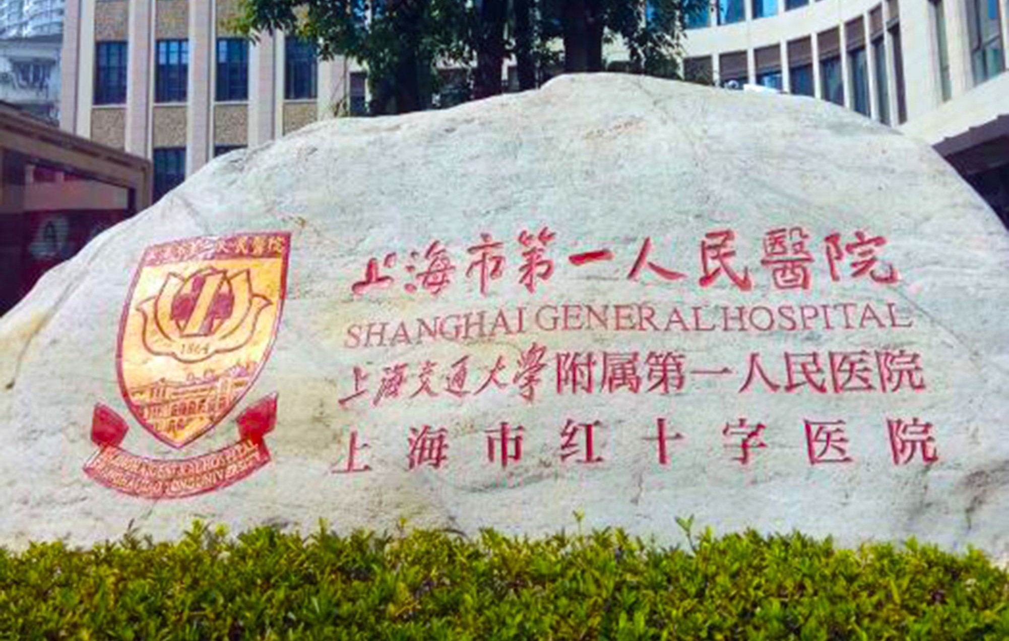 上海第一人民医院照片图片
