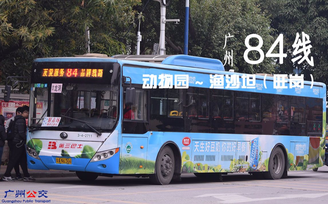【广州公交pov】84 动物园 — 渔沙坦(旺岗) 带报站_哔哩哔哩 (゜-゜)