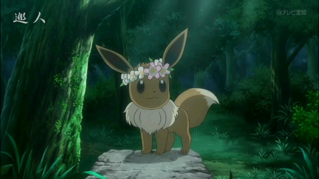 花环与伊布更配哦