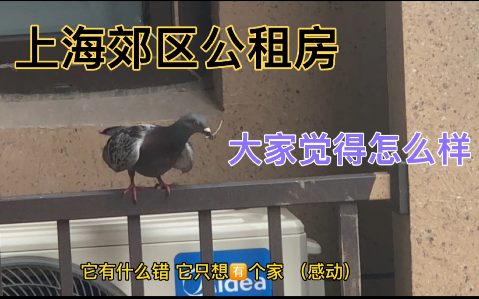 这是我在上海奉贤区租的公租房,一室一厅,大家觉得怎么样