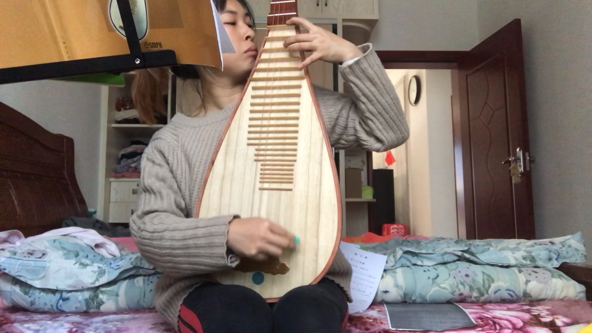 【琵琶】第二十天 音阶练习 老六板 二十四指序(轮指)_哔哩哔哩 (゜