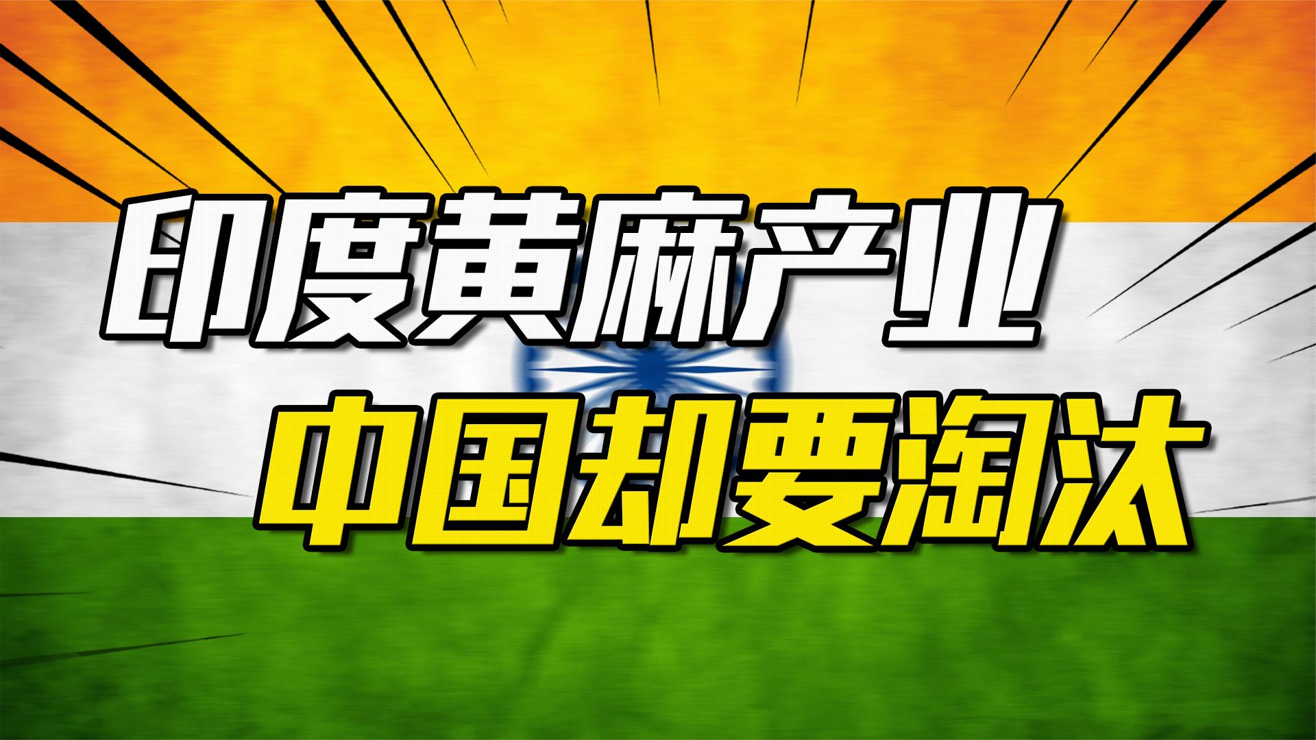 印度黄麻养活近千万人,被欧洲大量收购,为何我国却要早早淘汰哔哩哔哩bilibili