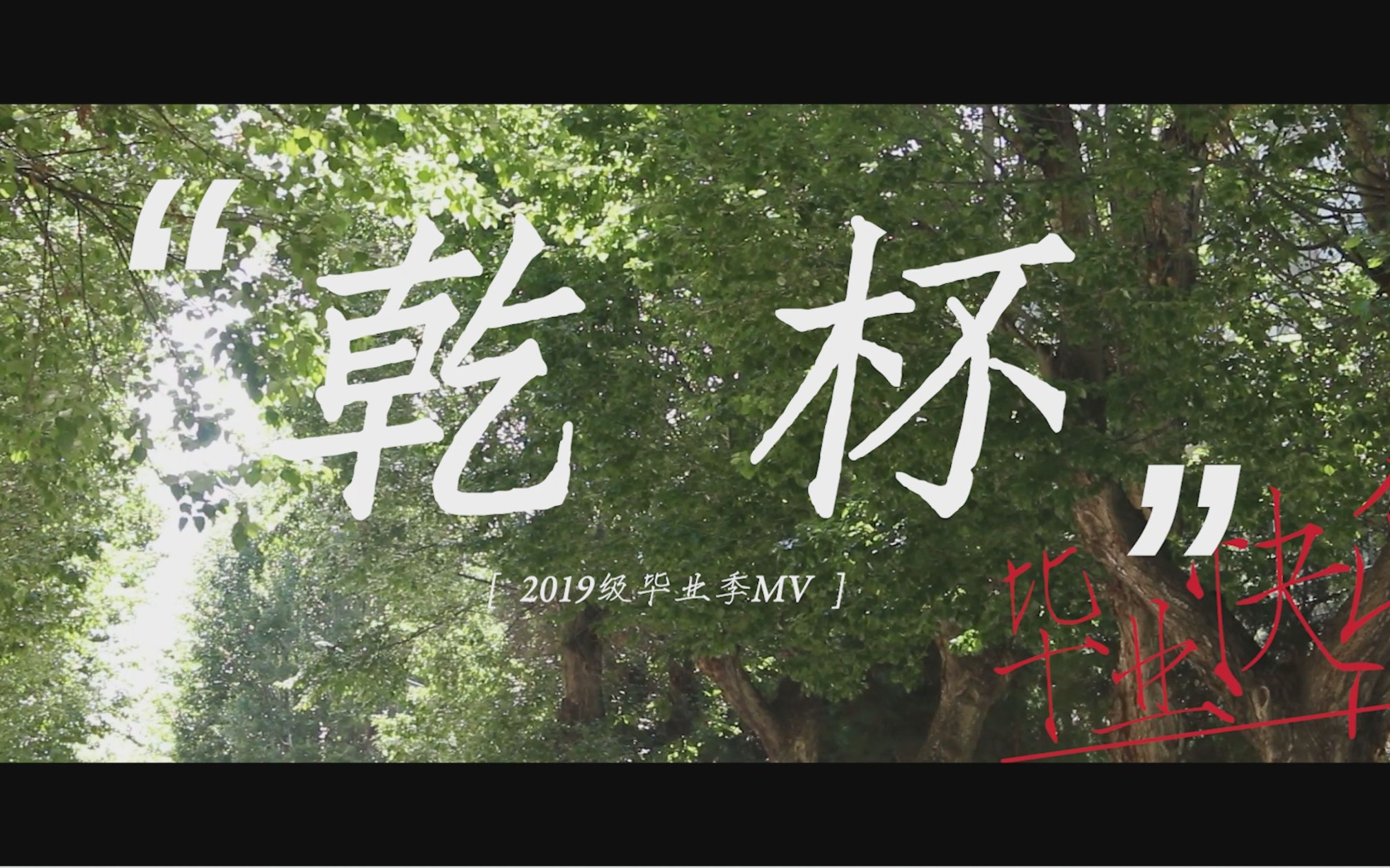 【西藏大学】2023届毕业季MV《乾杯》哔哩哔哩bilibili