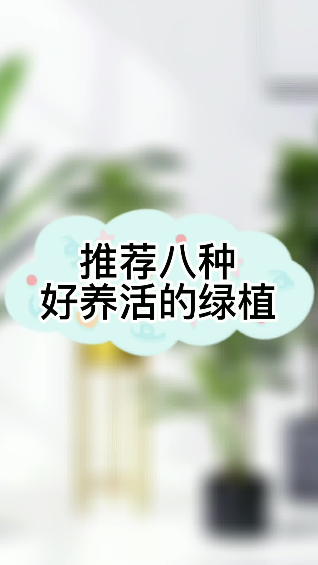 推荐八种好养活的绿植哔哩哔哩bilibili