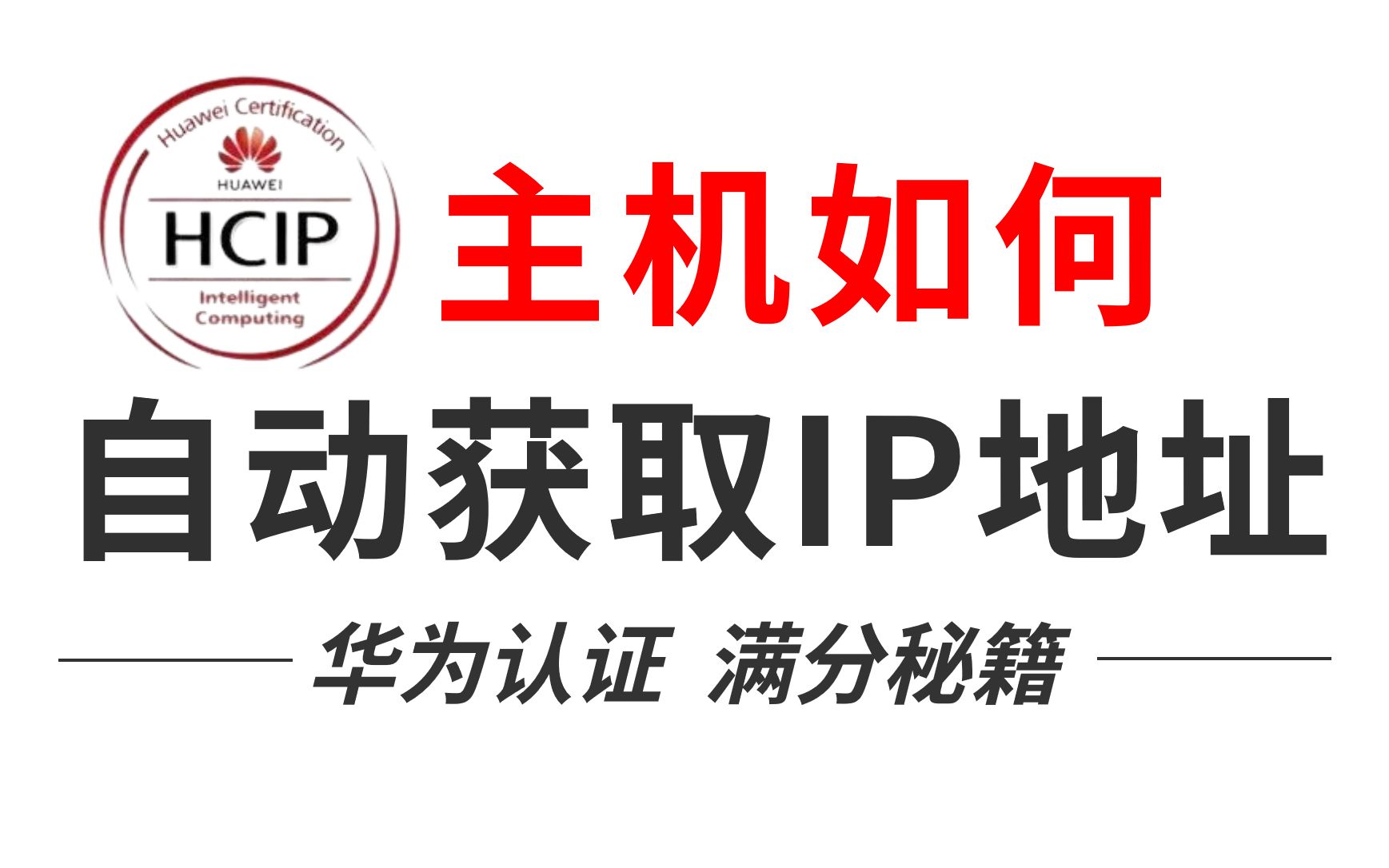 【网工知识】一台路由器同时连接500台电脑,如何让主机自动获取IP地址?哔哩哔哩bilibili