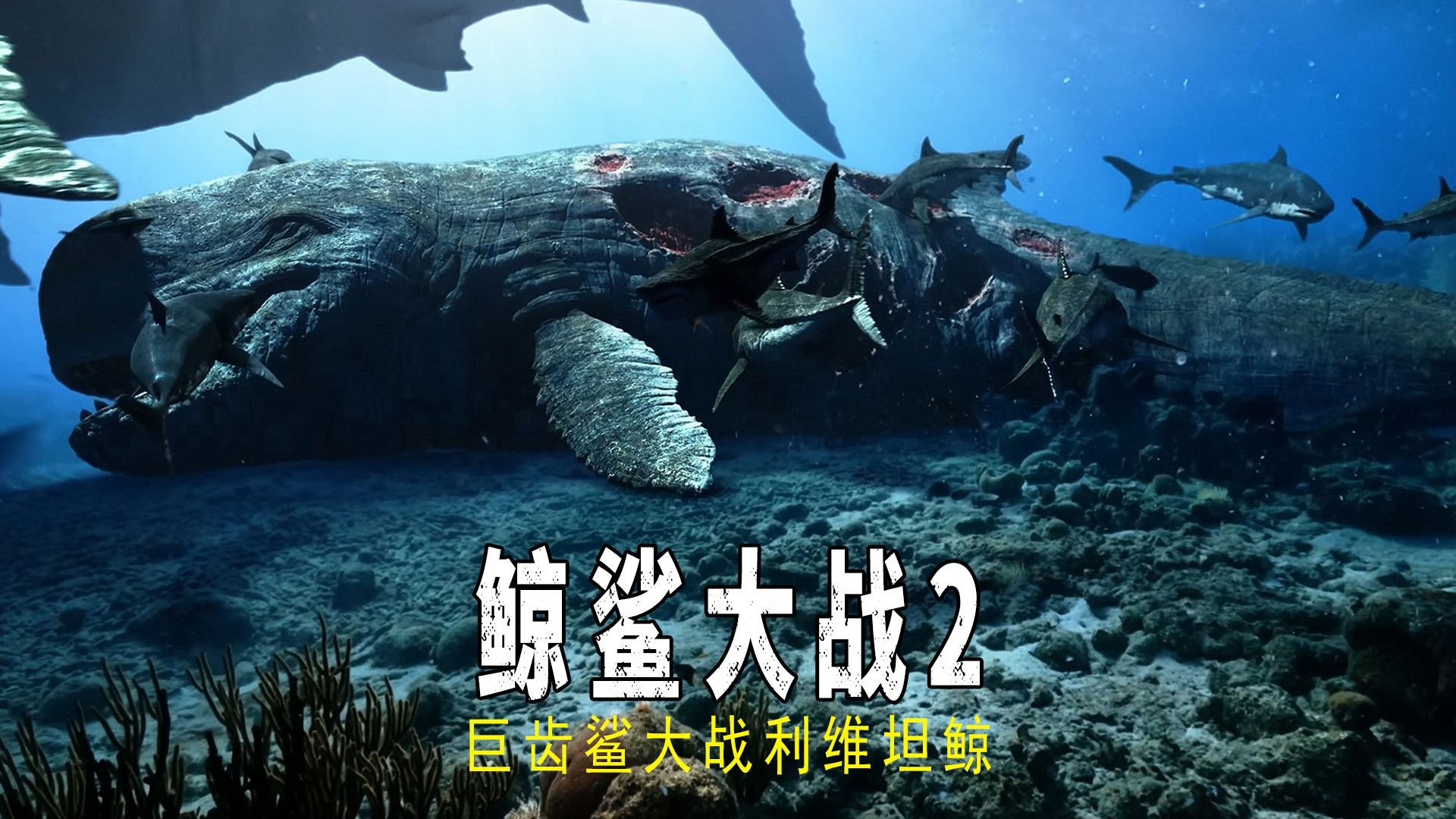 利维坦鲸家族的复仇