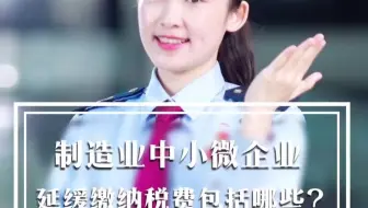 制造业中小微企业延缓缴纳的税费有哪些？