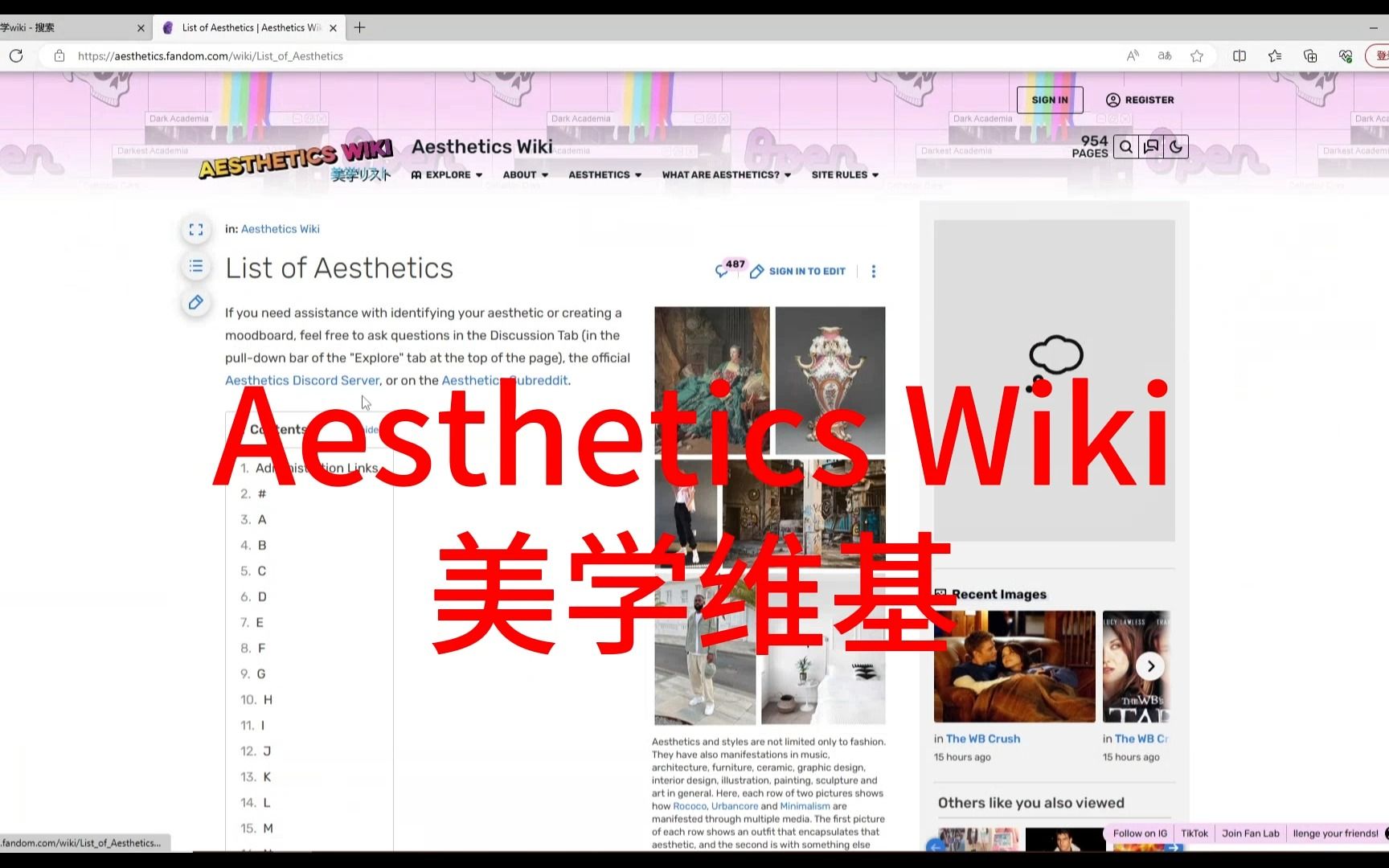 美学维基,网址:https://aesthetics.fandom.com哔哩哔哩bilibili