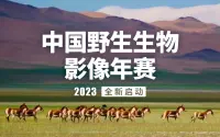 投稿封面