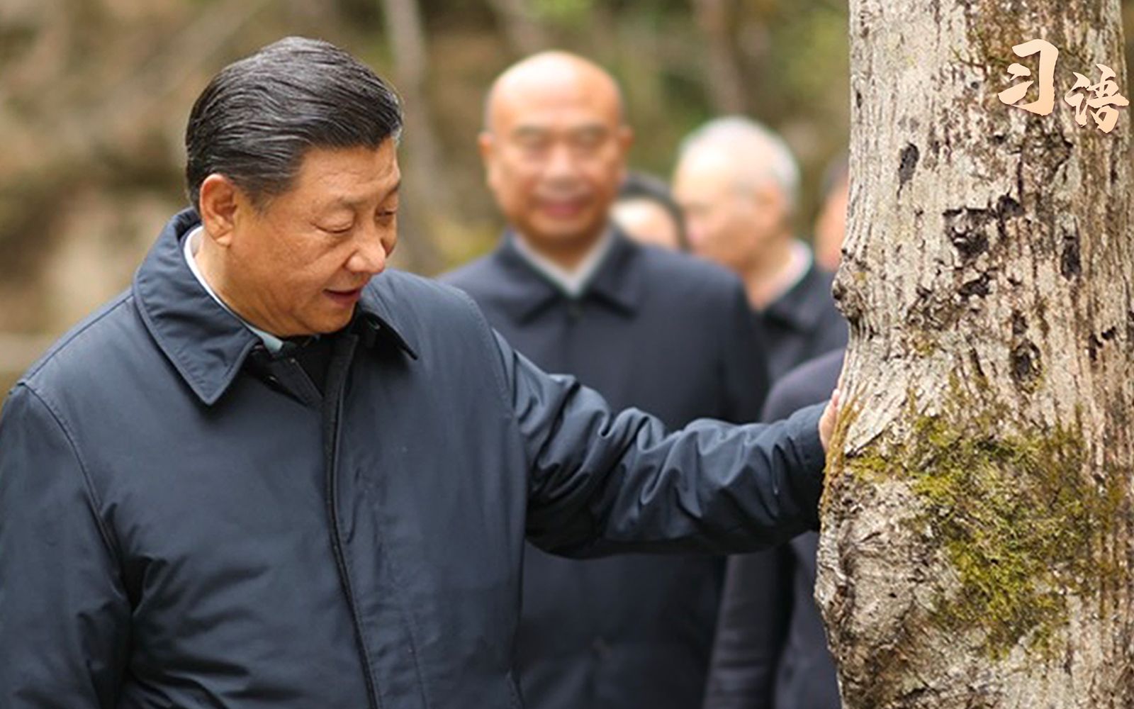 [图]习语｜“绿水青山就是金山银山”