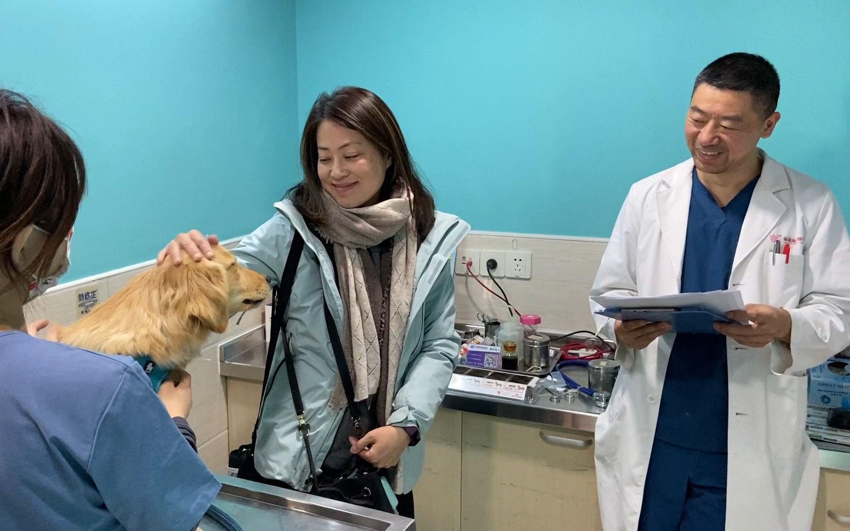 半岁金毛不长胖?张昕医生听诊找明原因_哔哩哔哩_bilibili