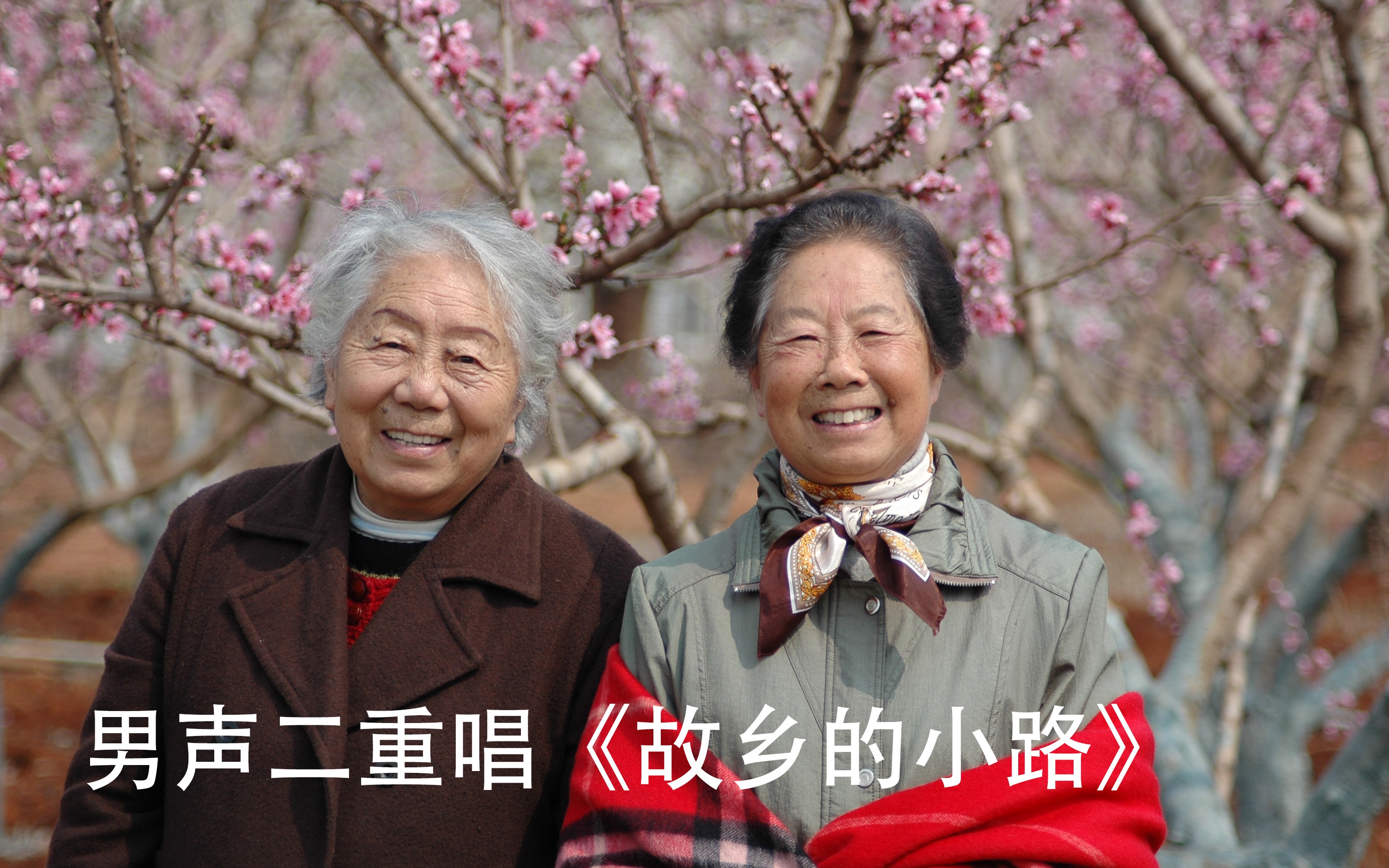 活动作品故乡的小路男声二重唱