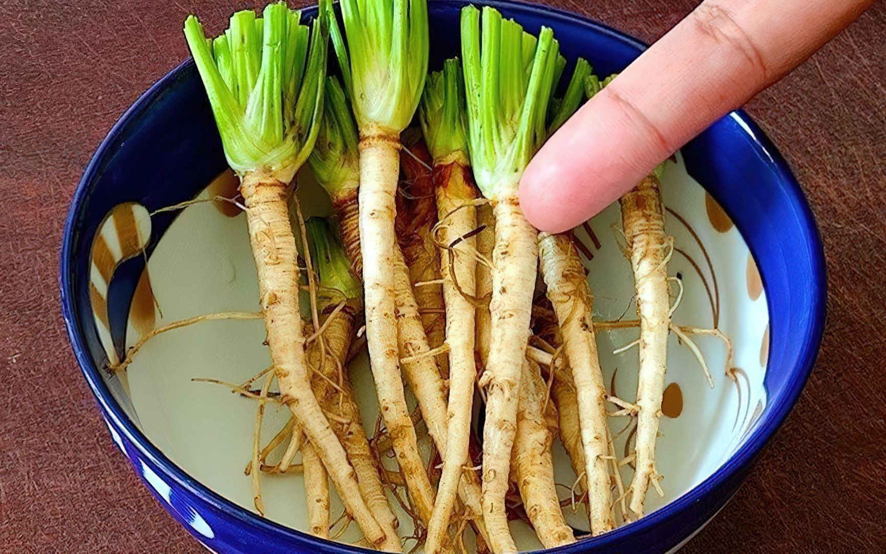 香菜根别扔了,开水煮一煮,原来作用这么厉害,真的太实用了哔哩哔哩bilibili