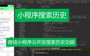 Download Video: 微信商城小程序实现搜索历史功能！！