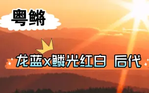 Descargar video: 粤鳉—观背青鳉龙蓝x鳞光红白后代观赏鱼