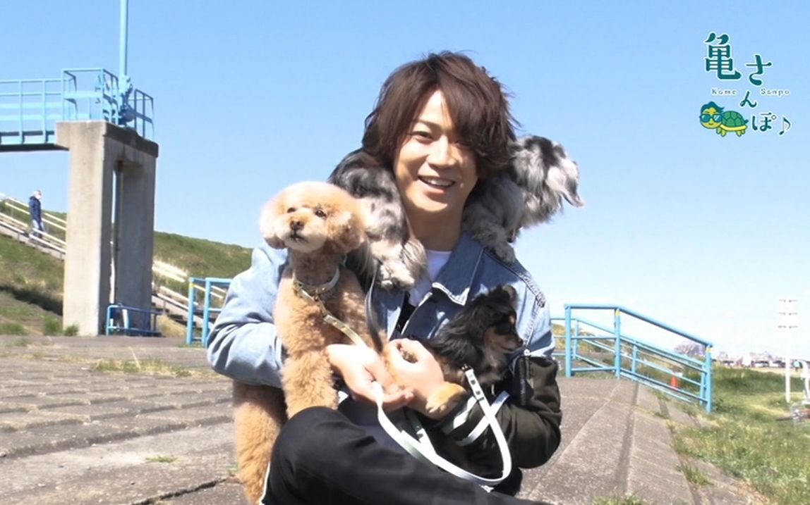 寄住在贝壳里的海洋的微博