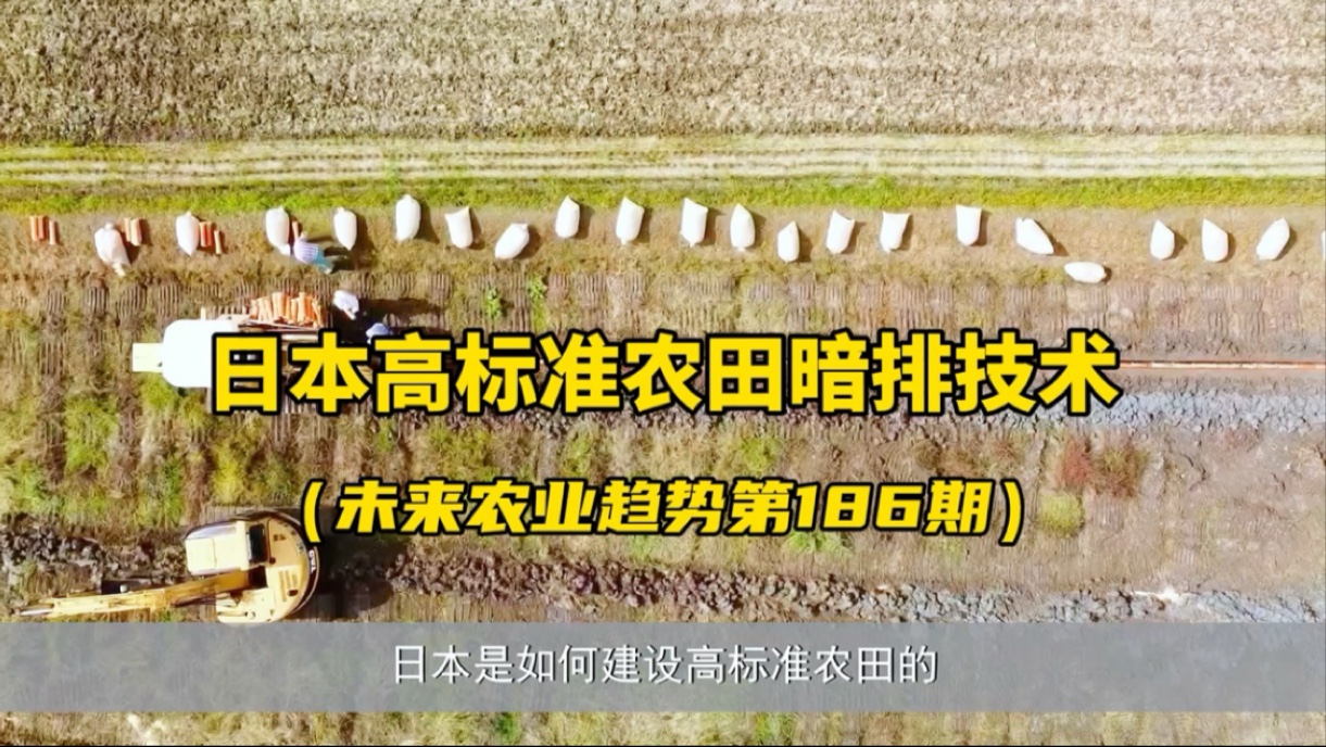 日本是如何建设高标准农田的?日本很多农民秋收过后,都是在搞农田建设,而且都是按照高标准模式来建设的,采用暗排技术...哔哩哔哩bilibili