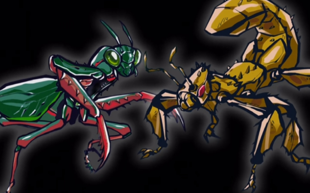 d19的真实身份居然是澳洲宽腹螳螂!幽灵竹节虫vs奥宽 !