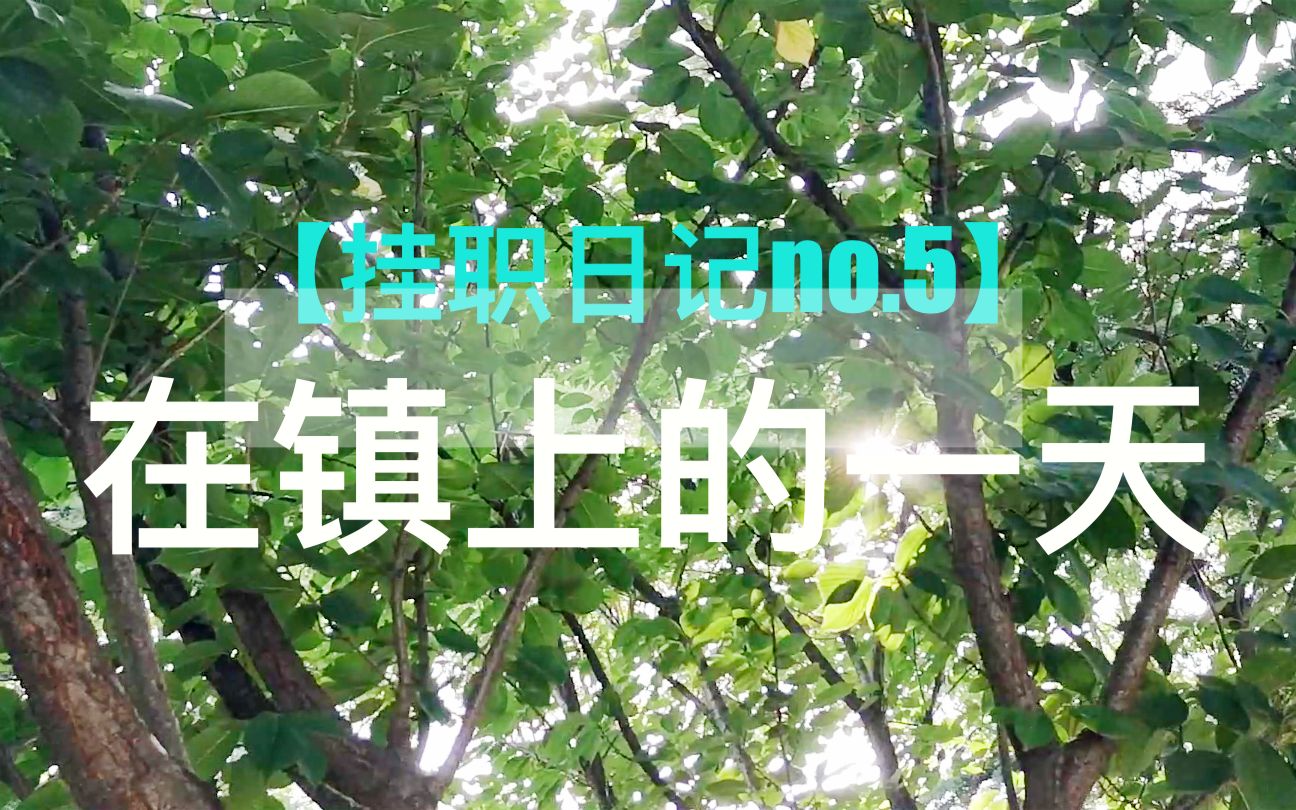 【挂职日记no.5】我在镇上的一天哔哩哔哩bilibili