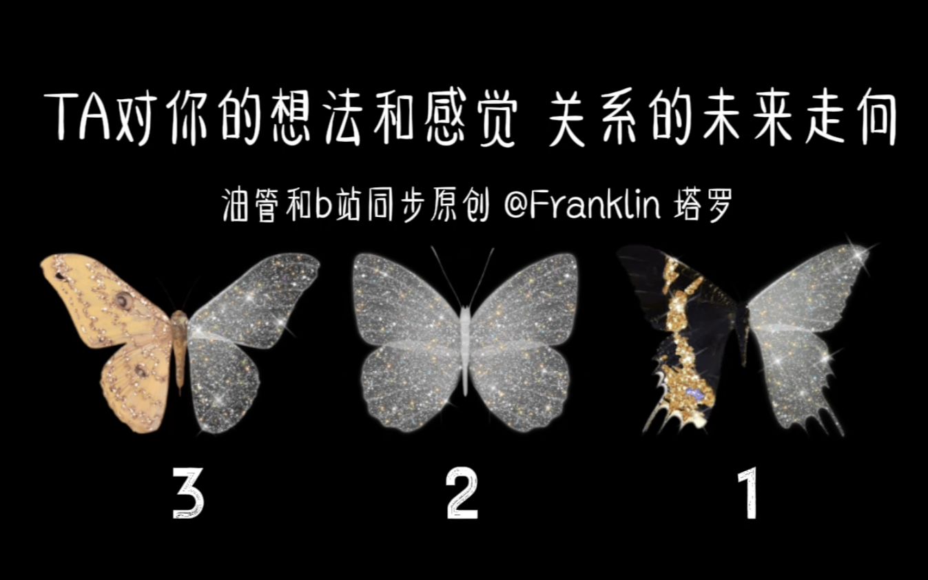 [图]【Franklin本尊驾到】TA对你的想法 vs. 感觉 以及你们这段关系的未来走向 🧣🧶 (无时间限制)