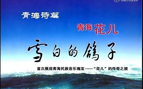 雷佳主演青海花儿剧《雪白的鸽子》【全剧】哔哩哔哩bilibili