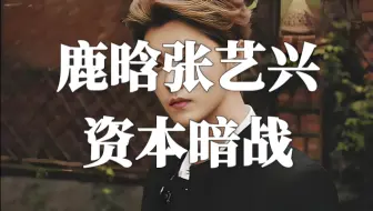 鹿晗张艺兴谁赚的钱多？谁的娱乐圈咖位更高？