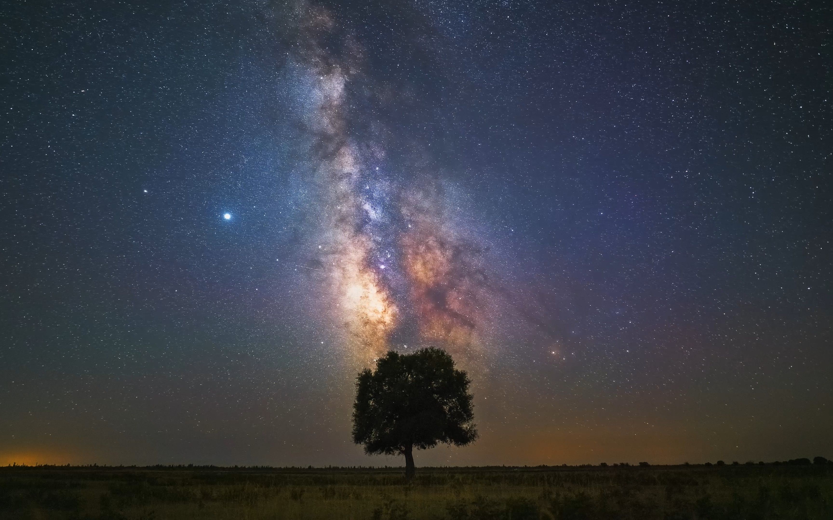 [图]看，内蒙古的孤树与星空【一分钟系列】