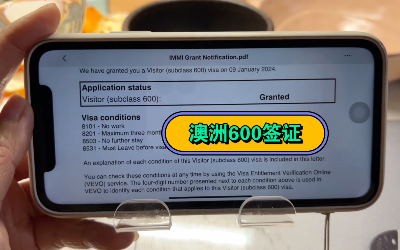 新鲜出炉澳洲600签证(旅游探亲商务担保探亲)、只给了单次入境简直绝了!分析下条款、文件清单、申请系统、审理工作日哔哩哔哩bilibili