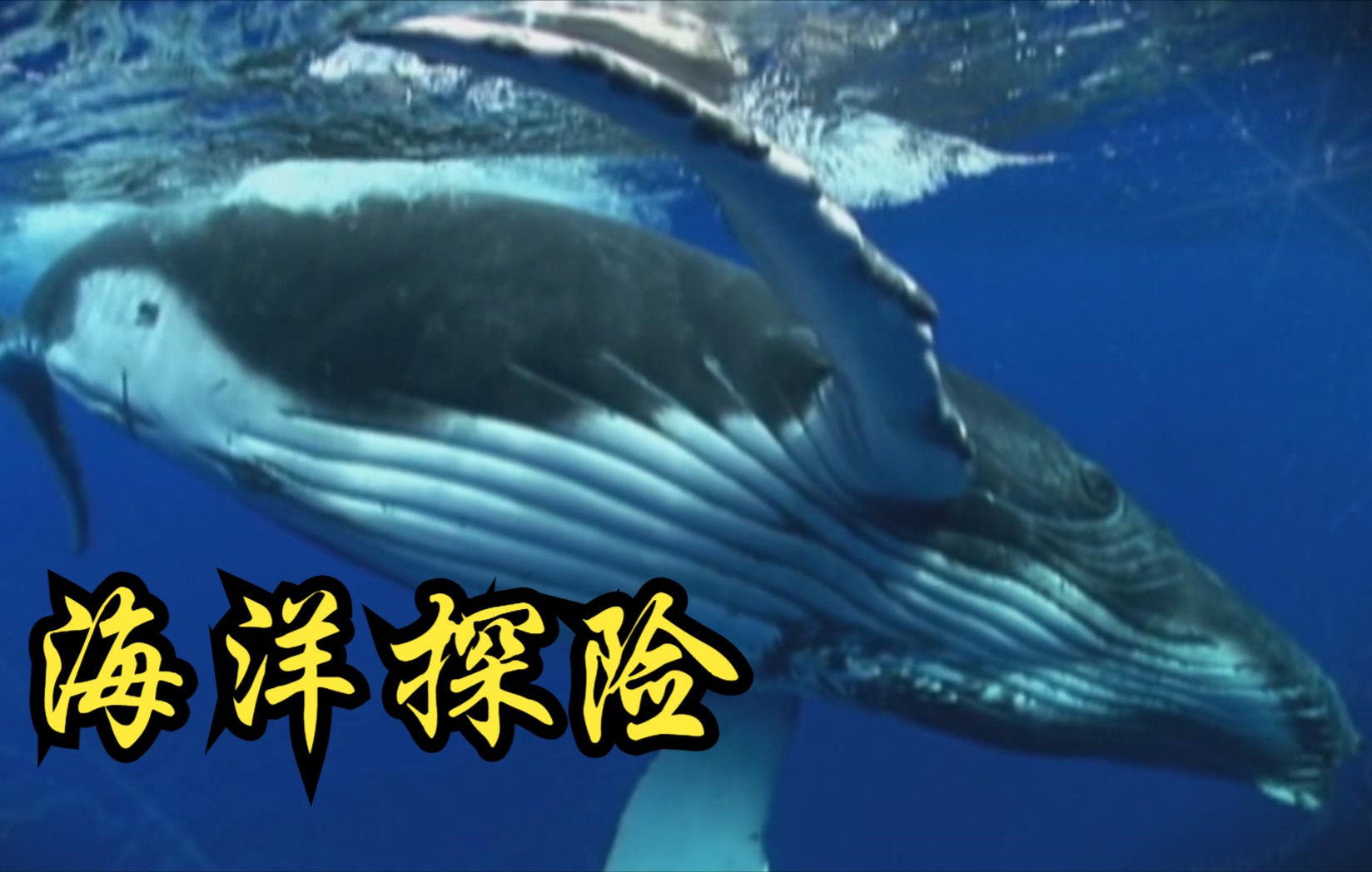 [图]【中国】【纪录片】海洋探险 Marine exploration