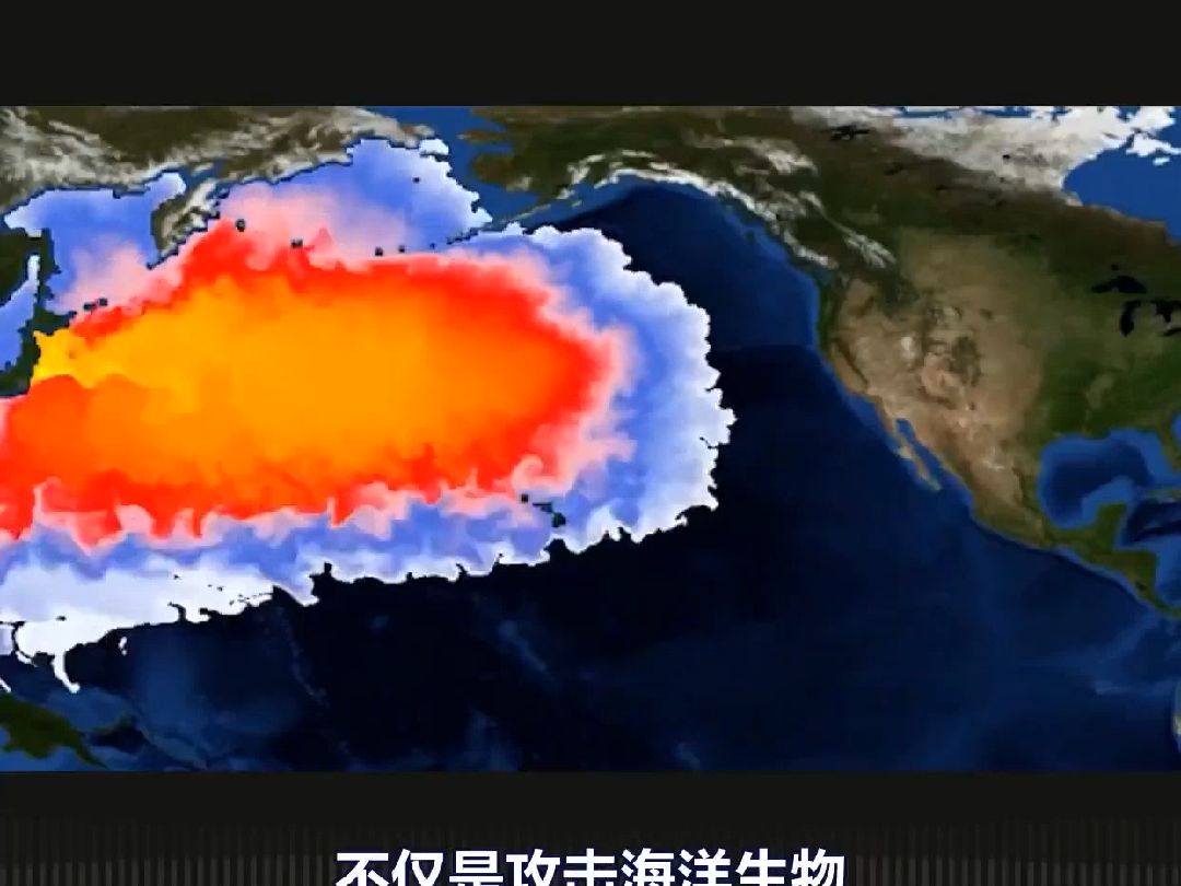 日本持续向海洋排放核污染水影响下一代