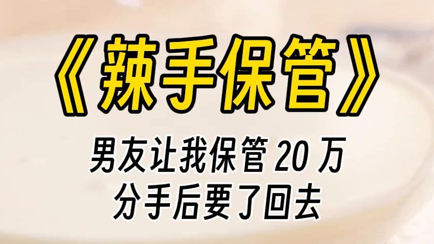 【辣手保管】我先把存款 20 万交给女保管.吃穿用她的工资,等到几年后分手,就算她不想给,打官司也能要得回.评论区都在嘲笑他异想天开,只有我心...