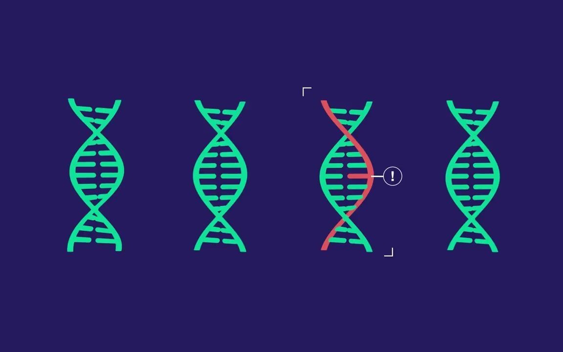 CRISPR基因编辑真的很重要!哔哩哔哩bilibili