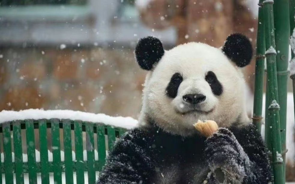 萌兰的幼年时期